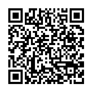 Link to your fundraiser QRCode - Fundraising
