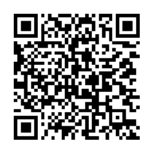 Link to your fundraiser QRCode - Fundraising