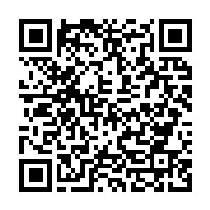 Link to your fundraiser QRCode - Fundraising