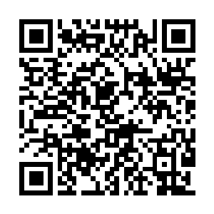 Link to your fundraiser QRCode - Fundraising