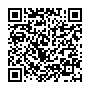 Link to your fundraiser QRCode - Fundraising