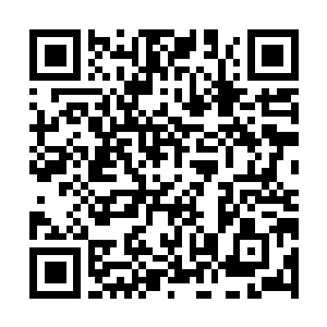 Link to your fundraiser QRCode - Fundraising