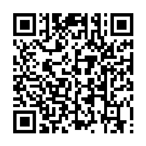 Link to your fundraiser QRCode - Fundraising