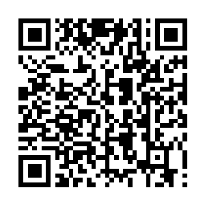 Link to your fundraiser QRCode - Fundraising