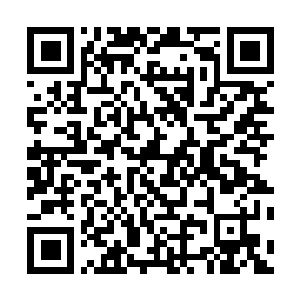 Link to your fundraiser QRCode - Fundraising