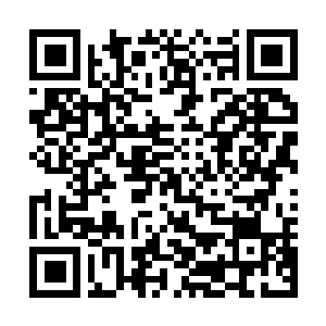 Link to your fundraiser QRCode - Fundraising