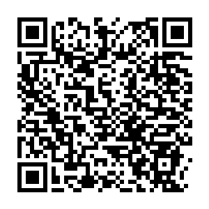 Link to your fundraiser QRCode - Fundraising
