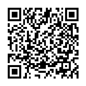 Link to your fundraiser QRCode - Fundraising