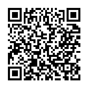 Link to your fundraiser QRCode - Fundraising