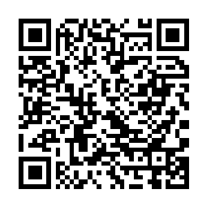 Link to your fundraiser QRCode - Fundraising