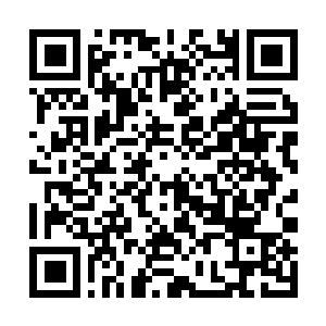 Link to your fundraiser QRCode - Fundraising