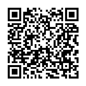 Link to your fundraiser QRCode - Fundraising