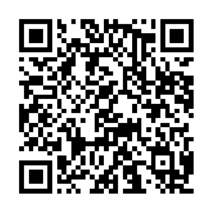 Link to your fundraiser QRCode - Fundraising