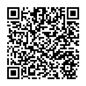 Link to your fundraiser QRCode - Fundraising