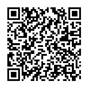 Link to your fundraiser QRCode - Fundraising
