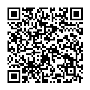 Link to your fundraiser QRCode - Fundraising