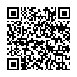 Link to your fundraiser QRCode - Fundraising