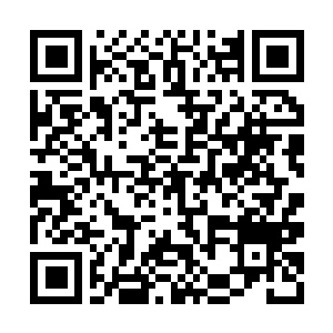 Link to your fundraiser QRCode - Fundraising