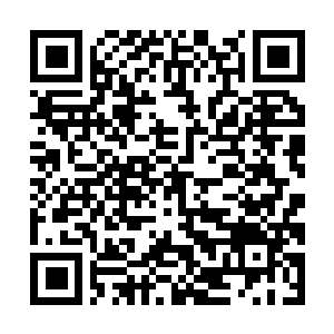 Link to your fundraiser QRCode - Fundraising