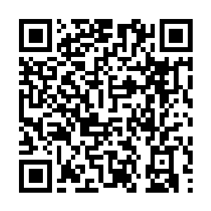 Link to your fundraiser QRCode - Fundraising