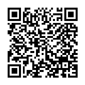 Link to your fundraiser QRCode - Fundraising