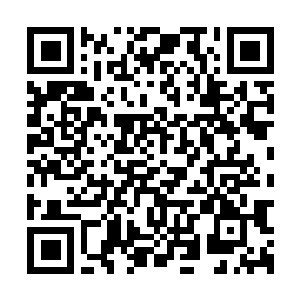 Link to your fundraiser QRCode - Fundraising