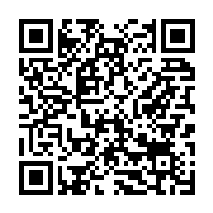 Link to your fundraiser QRCode - Fundraising