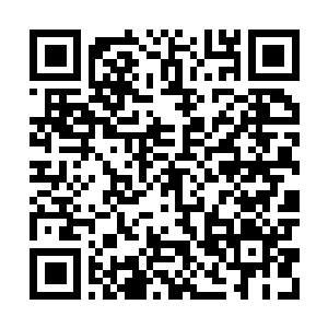 Link to your fundraiser QRCode - Fundraising