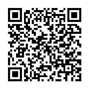 Link to your fundraiser QRCode - Fundraising