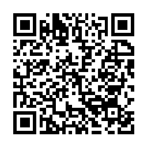 Link to your fundraiser QRCode - Fundraising