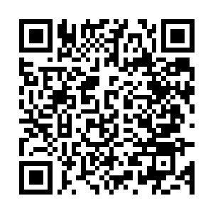 Link to your fundraiser QRCode - Fundraising