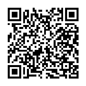 Link to your fundraiser QRCode - Fundraising