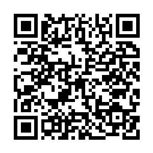 Link to your fundraiser QRCode - Fundraising
