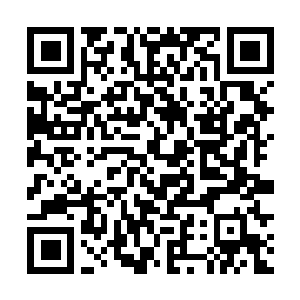 Link to your fundraiser QRCode - Fundraising