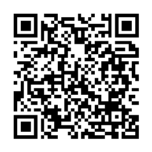 Link to your fundraiser QRCode - Fundraising
