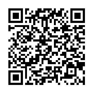 Link to your fundraiser QRCode - Fundraising