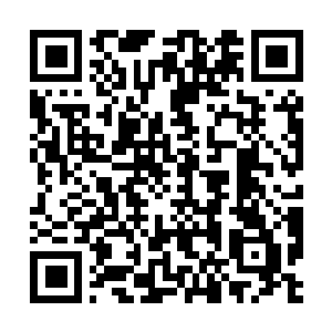 Link to your fundraiser QRCode - Fundraising