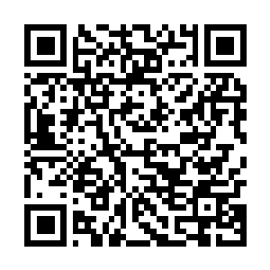 Link to your fundraiser QRCode - Fundraising