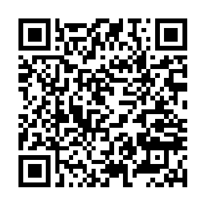 Link to your fundraiser QRCode - Fundraising