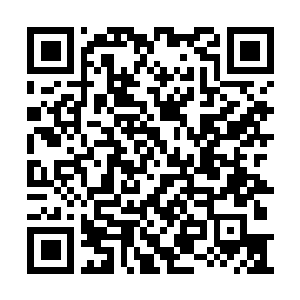 Link to your fundraiser QRCode - Fundraising