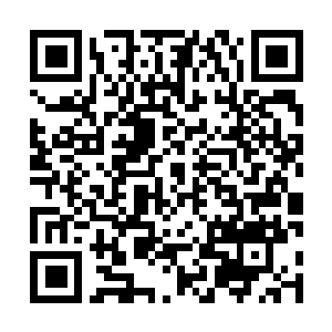 Link to your fundraiser QRCode - Fundraising
