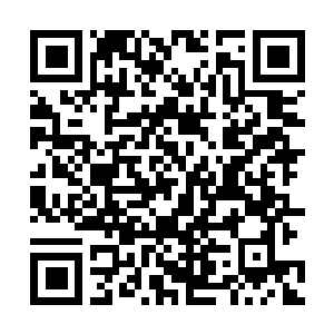 Link to your fundraiser QRCode - Fundraising