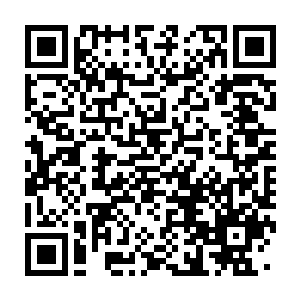 Link to your fundraiser QRCode - Fundraising