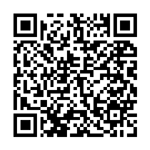 Link to your fundraiser QRCode - Fundraising
