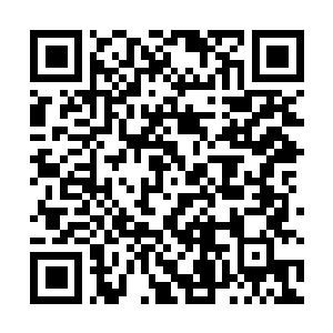 Link to your fundraiser QRCode - Fundraising