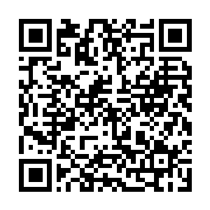 Link to your fundraiser QRCode - Fundraising