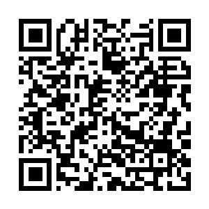 Link to your fundraiser QRCode - Fundraising