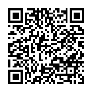 Link to your fundraiser QRCode - Fundraising