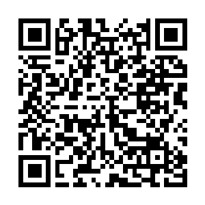 Link to your fundraiser QRCode - Fundraising