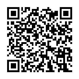 Link to your fundraiser QRCode - Fundraising